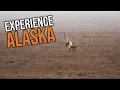 Things You Need To Know BEFORE Applying in Alaska