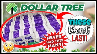 DOLLAR TREE Haul Items JUST HIT the Shelves The TRUCK This Week Was AMAZING More 1 Deals
