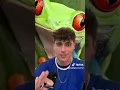 Girl-and-frog- -twitter