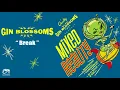 Download Lagu Gin Blossoms \