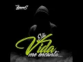 Esta Vida Me Encanta (Guaracha) - Dj Dreams