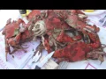 Crab Claw 50 years
