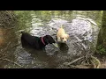 Olive and Mabel Episode 3 - The Walk of Shame