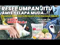 Download Lagu GANASNYA RACIKAN JITU UMPAN KELAPA AMIS GURIH !! 2 INDUK MAKAN TELAK BERTURUT TURUT ❗❗