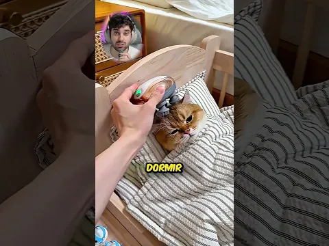 O panqueca não consegue dormir!