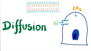 Diffusion Simple and Facilitated