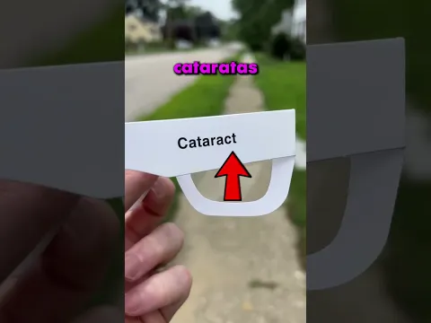 ESTO ES LO QUE MIRAN LAS PERSONAS CIEGAS!! 😯