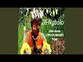 Download Lagu Ambeni Wali