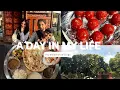Download Lagu VLOG KELUARGA‼️ULASAN MAKANAN TRADISIONAL ‼️ PEMBUATAN LADDU