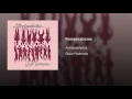 Rompecabezas - Aterciopelados