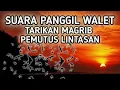 Download Lagu SUARA PANGGIL WALET - TARIKAN MAGRIB PEMUTUS LINTASAN