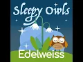 Edelweiss - Sleepy Owls