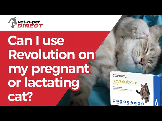 REVOLUTION for Cats Blue 2.6-7.5kg