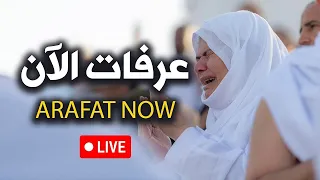               تلبية الحجاج بث مباشر   الحج مباشر   ركن الحج الاعظم  جبل عرفات  وقفة عرفة مباشر دندنها