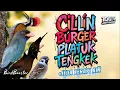 Download Lagu 100% CEPAT MASUK!! MASTERAN SATU JALUR + JEDA TERAPI AIR