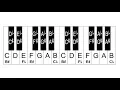 How Are Piano Keys Labeled How To Label The Piano Keyboard