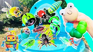 Bug Insect Names | Kids Learn at the Shark Pool: Caterpillar Ladybug Slug Stag Beetle Scorpion