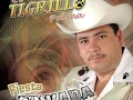 el tigrillo palma- el amor de un pobre