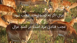 غزل شماره ۳۴۷ سعدی  غزل شماره ۳۴۷ سعدی