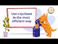 Use Liquibase with entities in IntelliJ IDEA JPA Buddy