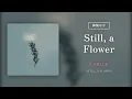 【韓繁中字】CNBLUE┃Still, a Flower