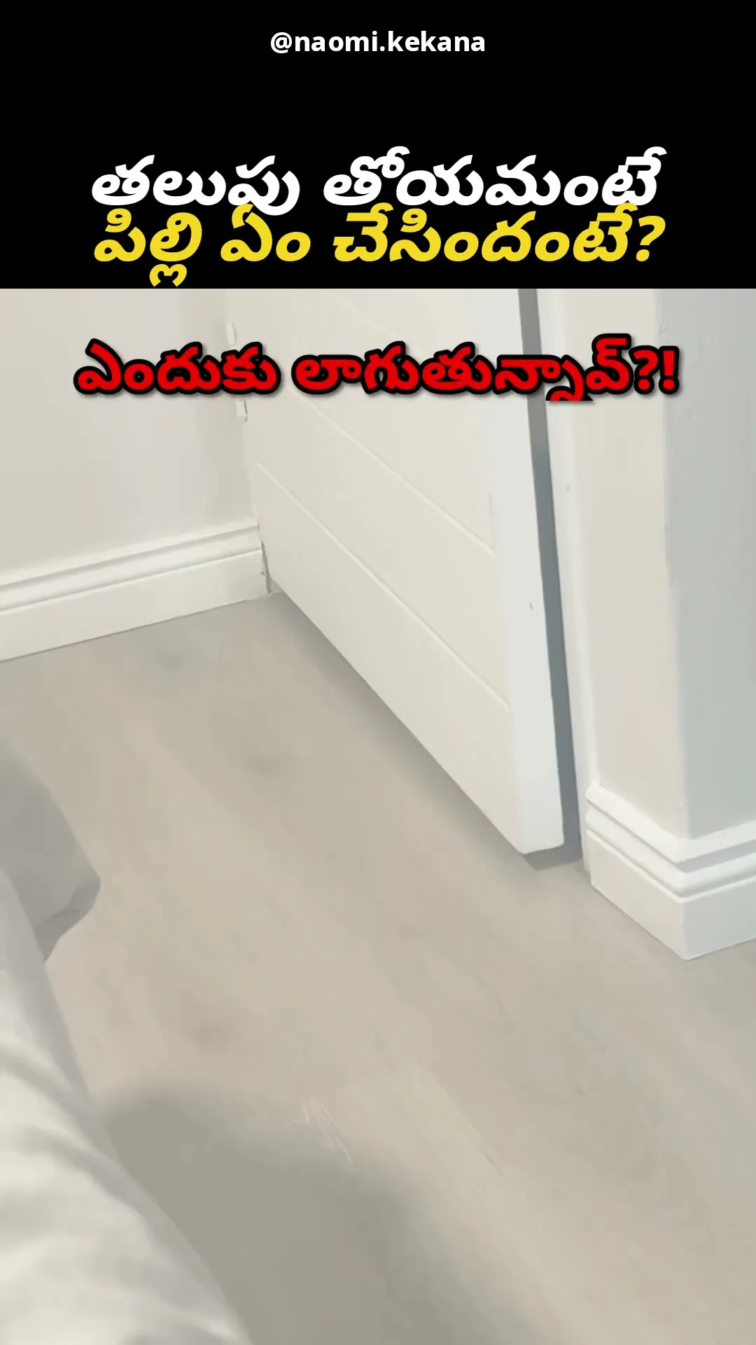 తోయమంటే లాగుతోంది 😹🚪