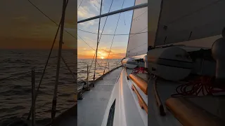 Sailing🌅 #travel #gosailing #shorts #reels #sailing #boat #sunset #girl