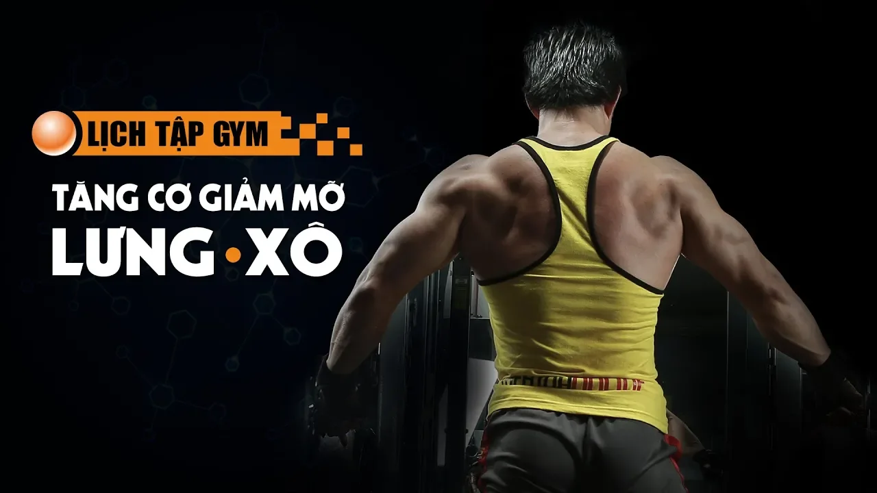 Outline Video Lịch tập GYM tăng cơ giảm mỡ Lưng Xô Hoàn Hảo DN 2014