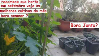 Comece setembro Plantando horta junto comigo. Veja os melhores cultivos para o mês!