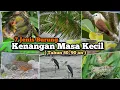 Download Lagu 7 Jenis burung kenangan masa kecil ‼️Nostalgia burung tahun 70, 80, 90an. MP3