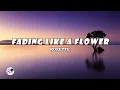 Lagu Fading Like A Flower | Roxette (Lyrics)