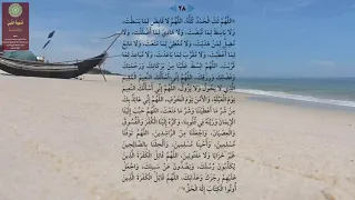                                                      دندنها