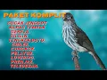 Download Lagu PAKET KOMPLIT| masteran yang di sukai juri