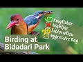 Lagu Can I complete my missions? | Birding at Bidadari Park