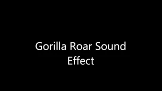Roaring Gorilla Sound Effect 