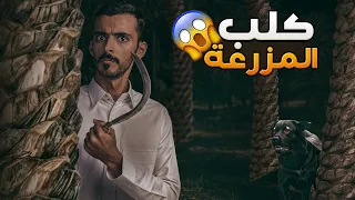 كلب المزرعة وليد قصص 