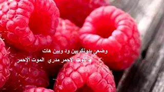 ذوات الحسن  كلمات عبدالمحسن عوض اداء نياف تركي دندنها
