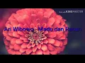 Lagu Ari Wibowo - Madu dan Racun