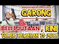 Download Lagu BELI 1 JUTAAN, KINI TOLAK TAWARAN 75 JUTA | MURAI GARONG JUARA 1 KELAS BURSA 100 JT TAJIMALELA ARENA