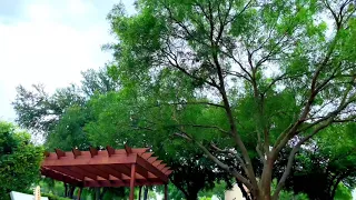 timro mayale badhera rakha cover by rocky 2019