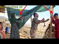 Download Lagu Displacement: Court deadline to demolish hut, Khadija and Saleh take action to demolish it2025