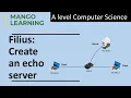 Filius Create an echo server