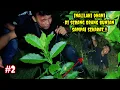 Download Lagu 🔴 Detik detik dani hilang di bawa orang bunian