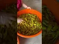 Download Lagu @Ranaachar moti hari mirchi 🌶️ ka achar #achar #food #cookingathome #trending #pickles  #everyday
