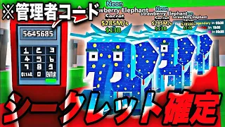 Brainrot Hurry Before It Gets Fixed We Ve Successfully Deciphered The Super Rare Secret Admin 