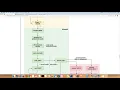 Linux kernel boot process shown from GDB