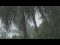 Download Lagu Nujabes Arurian Dance + Rain noises