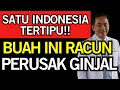 Download Lagu AWAS!! DIKIRA SEHAT, BUAH Ini TERNYATA RACUN NO. 1 PERUSAK GINJAL LANSIA! Kesehatan Lansia