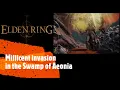 Elden Ring Millicent invasion in the Swamp of Aeonia