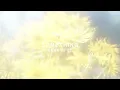 Something Beautiful - Joey Pecoraro
